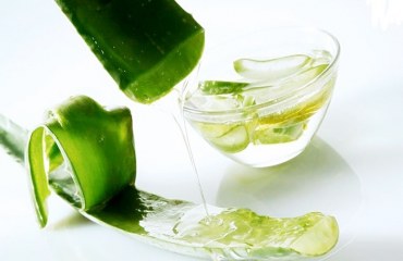 Tuyệt chiêu làm trắng da mặt bằng nha đam