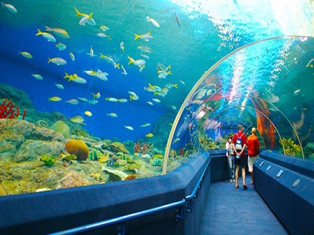 Viện Hải dương học - địa điểm du lịch Nha Trang thú vị