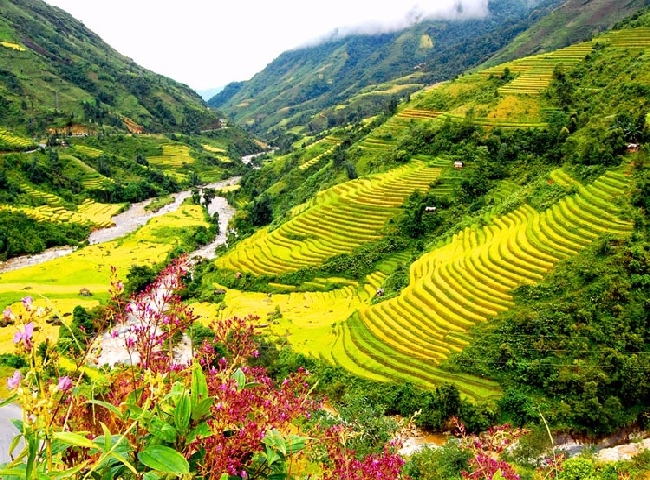 Địa điểm du lịch Sapa thung lũng Mường Hoa