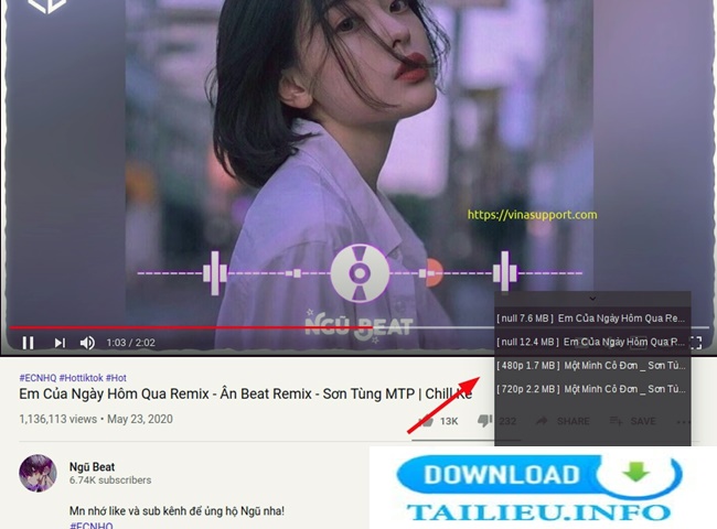 Xtreme Download Manager